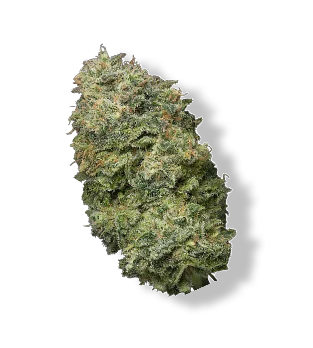 cbd flower